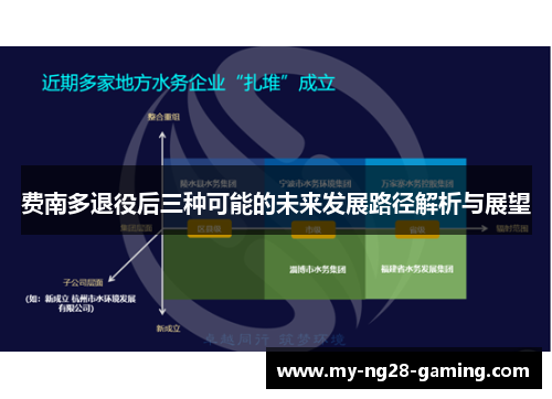 费南多退役后三种可能的未来发展路径解析与展望