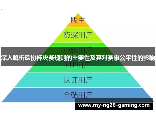 深入解析欧协杯决赛规则的重要性及其对赛事公平性的影响