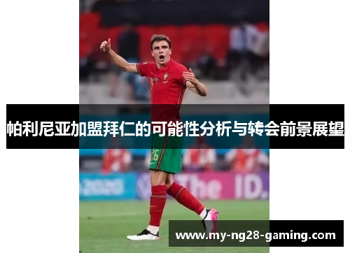 帕利尼亚加盟拜仁的可能性分析与转会前景展望